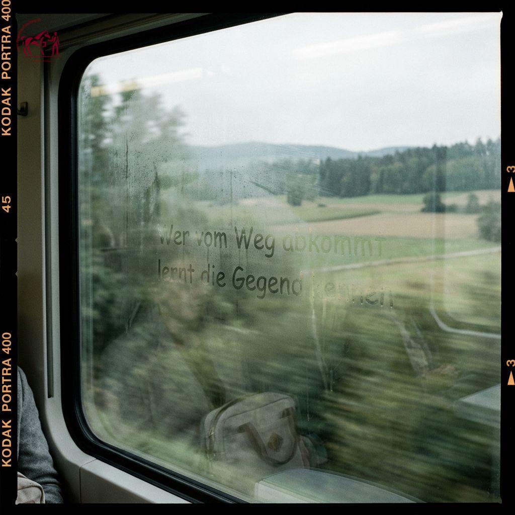 Der größte Fehler in der Geschichte der Penicillin-Entdeckung? Alexander Fleming vergaß 1928 eine Petrischale im Labor, bevor er in den Urlaub fuhr. Als er zurückkam, war alles verschimmelt – und die moderne Antibiotika-Medizin geboren.